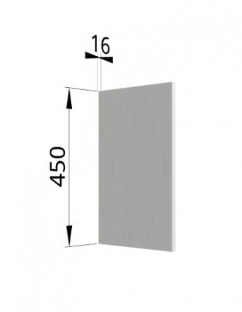 Панель торцевая (для шкафа горизонтального высокого) ВПГ Ройс (Графит софт) в Поваренке - povarenka.mebel54.com | фото